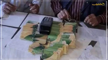 رسميًا الآن.. بدء إضافة المواليد الجدد على بطاقة التموين عبر بوابة مصر الرقمية 1